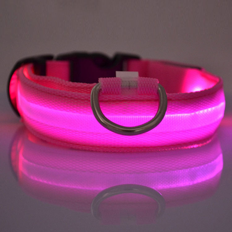 Safety LED Dog Collar – Adjustable Glowing Night Visibility Collar for Dogs