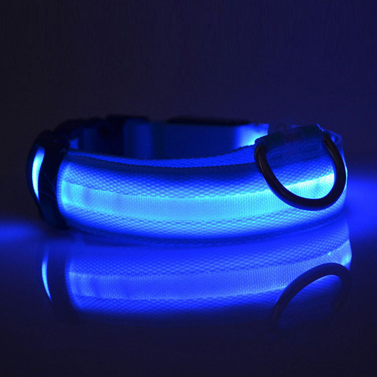 Safety LED Dog Collar – Adjustable Glowing Night Visibility Collar for Dogs