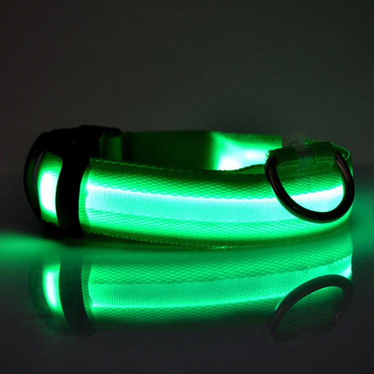 Safety LED Dog Collar – Adjustable Glowing Night Visibility Collar for Dogs