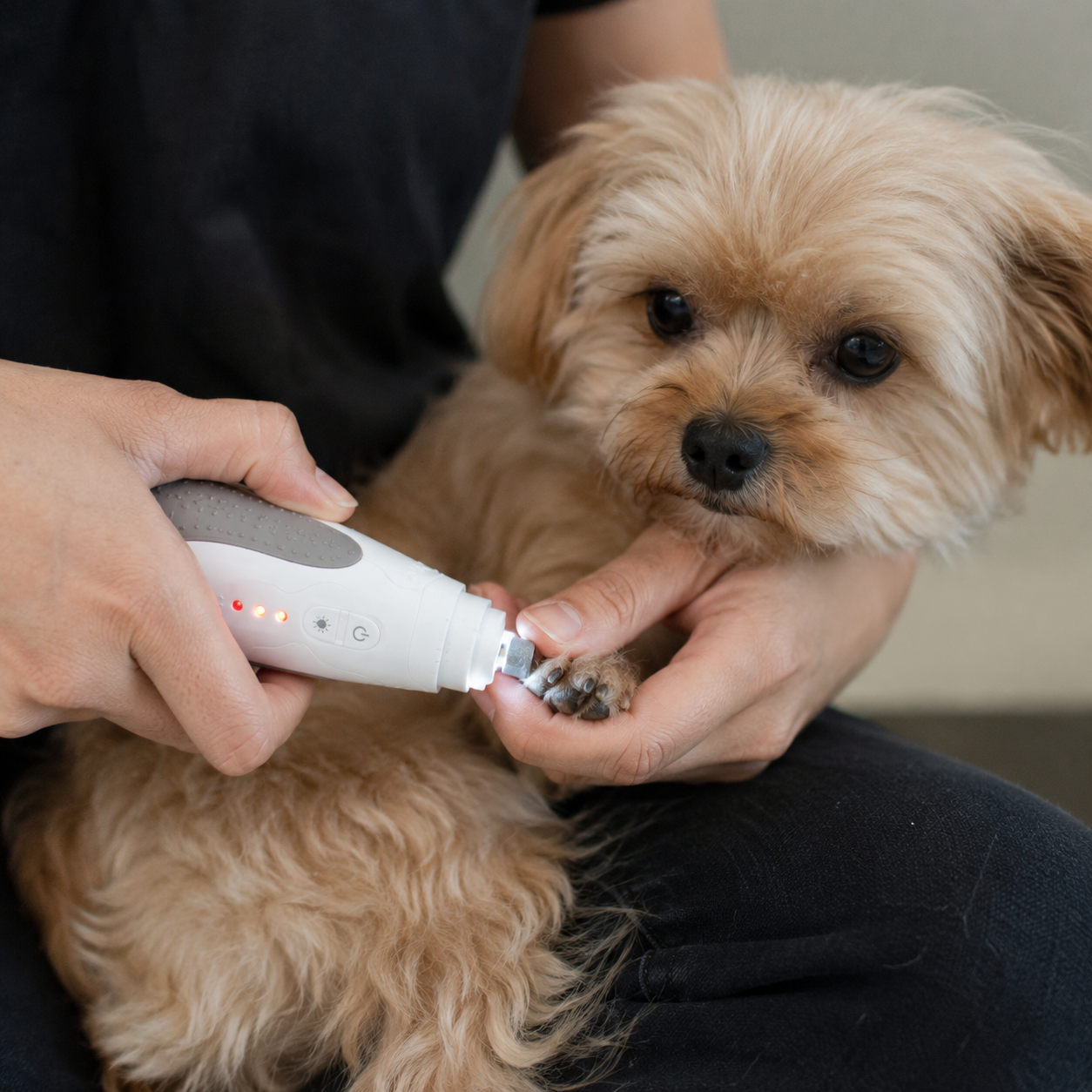 Electric Pet Nail Grinder for Dogs & Cats
